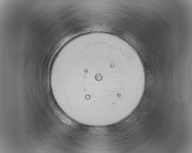 X0000078280836200611172054