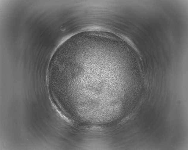 X0000078280839200611172054