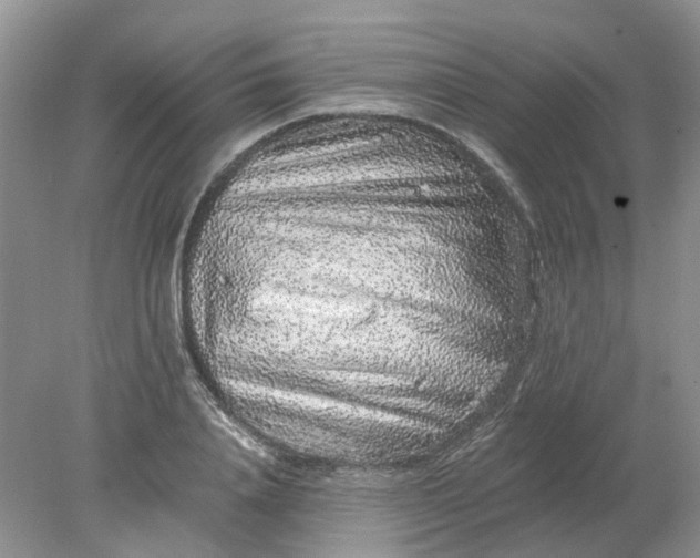 X0000078280840200611172054