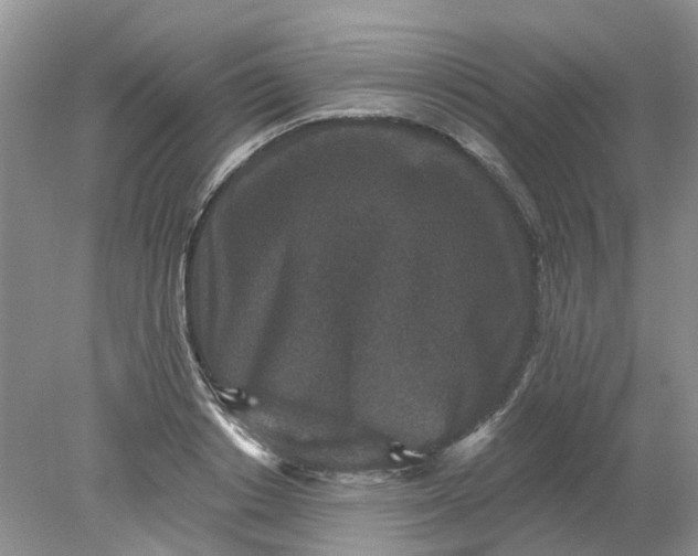 X0000078280842200611172054