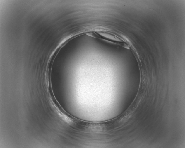 X0000078280843200611172054