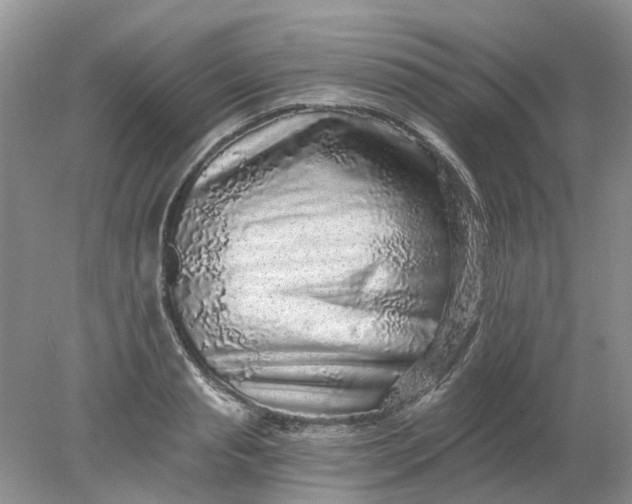 X0000078280845200611172054