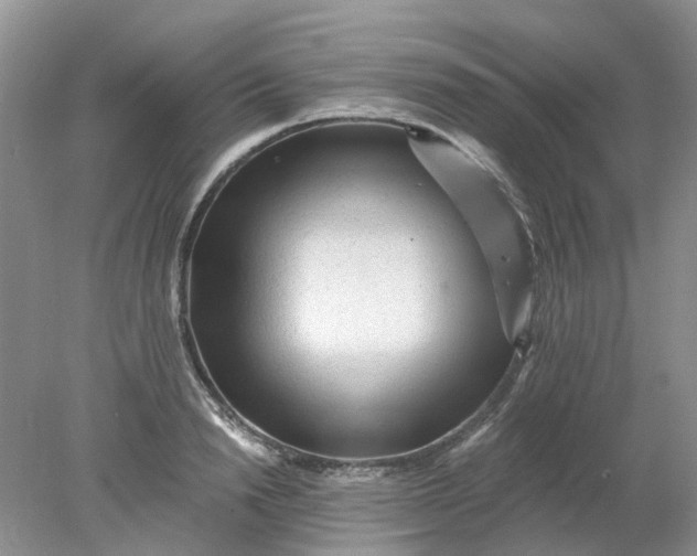 X0000078280846200611172054