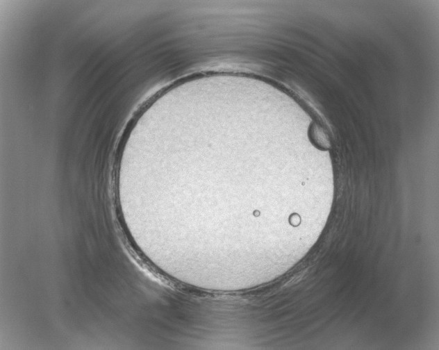 X0000078280848200611172054