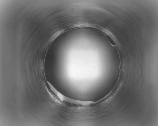 X0000078280849200611172054