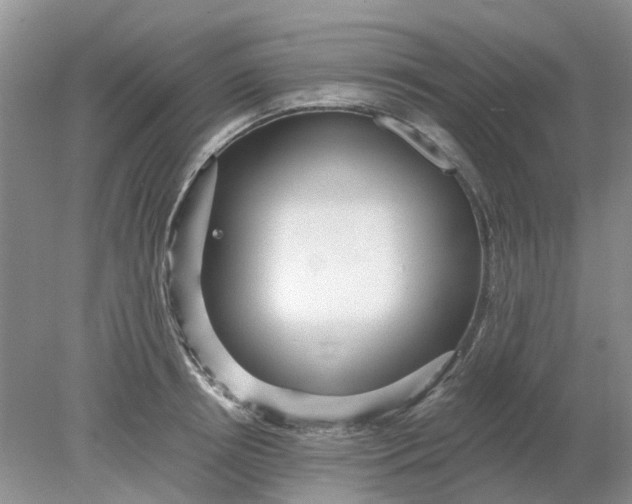 X0000078280850200611172054