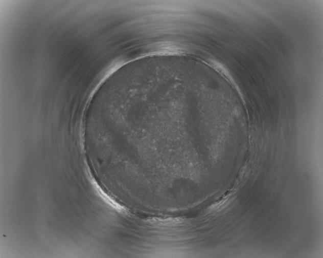 X0000078280851200611172054