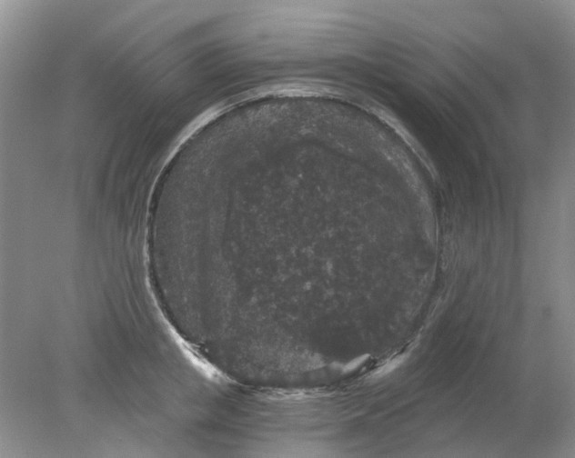 X0000078280853200611172054