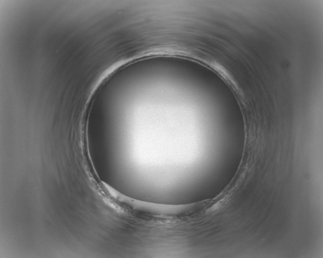 X0000078280854200611172054