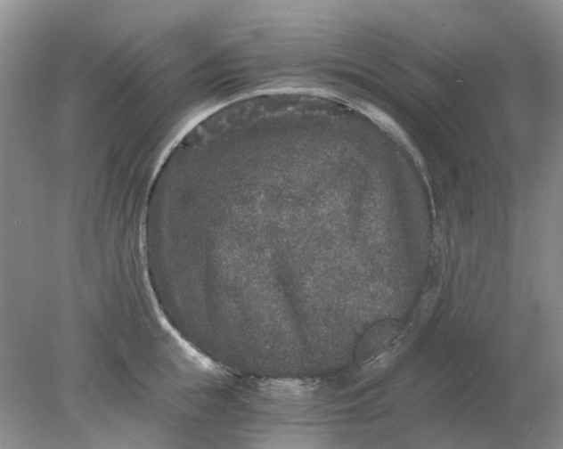 X0000078280855200611172054