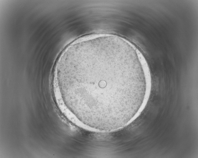 X0000078280856200611172054