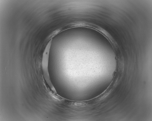 X0000078280857200611172054