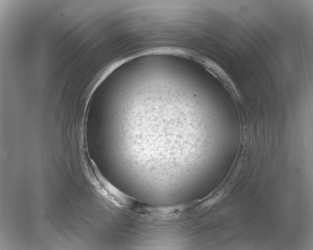 X0000078280860200611172055