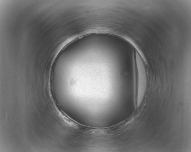 X0000078280861200611172055