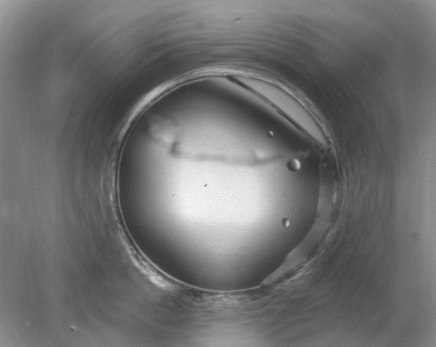 X0000078280862200611172055