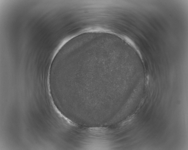 X0000078280863200611172055