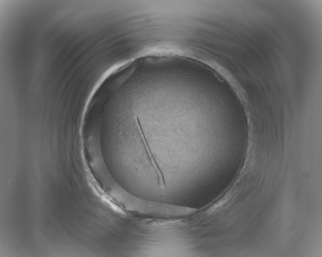 X0000078280864200611172055