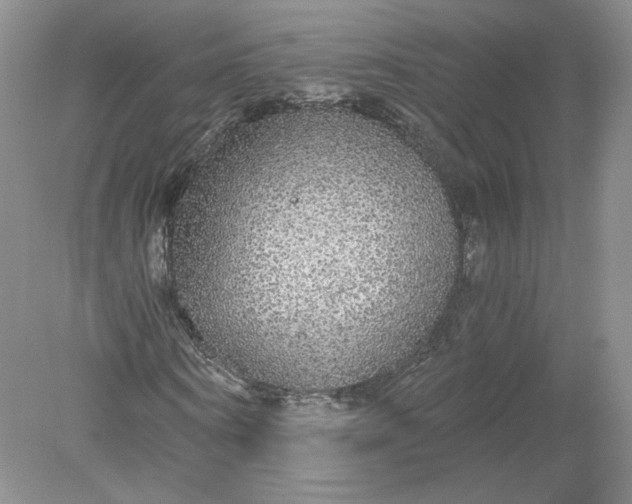 X0000078280866200611172054