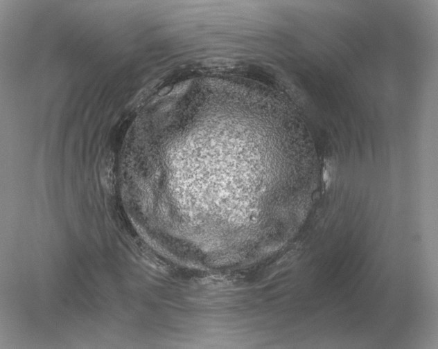 X0000078280867200611172054