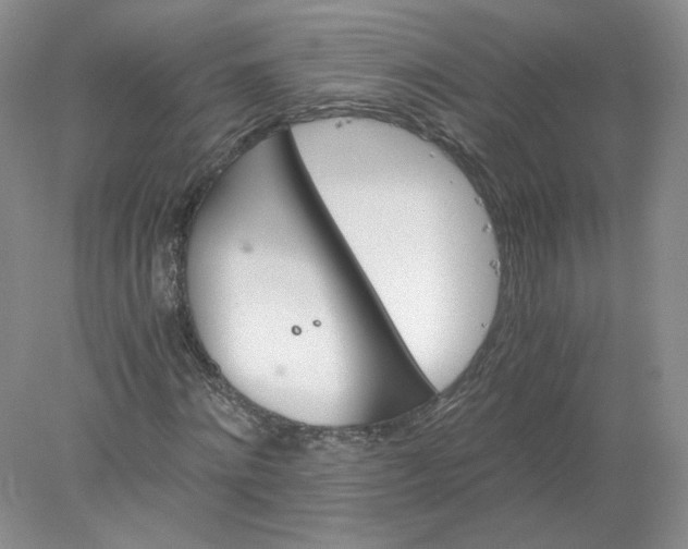 X0000078280868200611172054