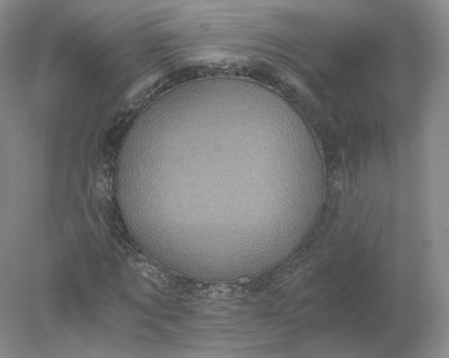 X0000078280869200611172054