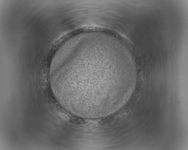 X0000078280870200611172054