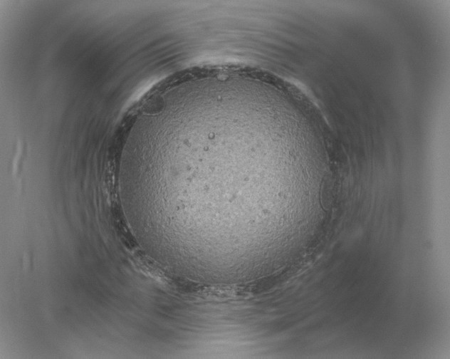 X0000078280871200611172054