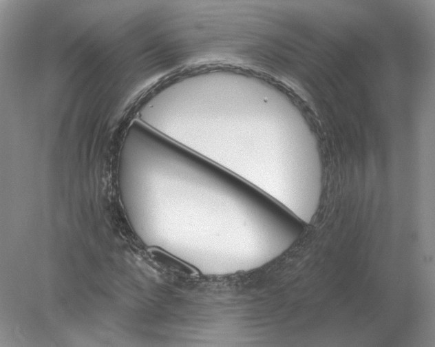 X0000078280872200611172054