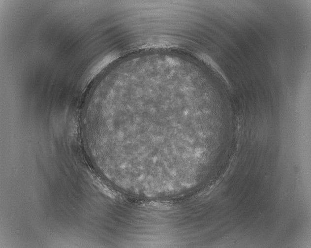 X0000078280874200611172054