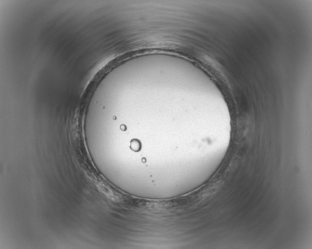 X0000078280875200611172054