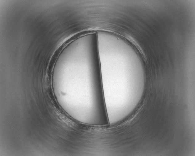 X0000078280876200611172054