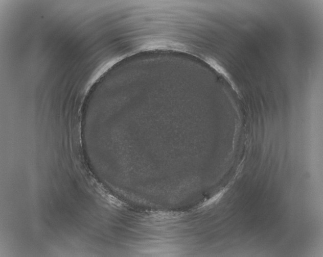 X0000078280877200611172054