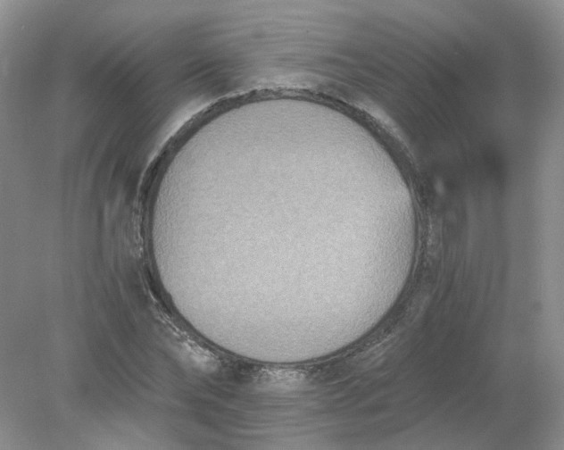 X0000078280878200611172054