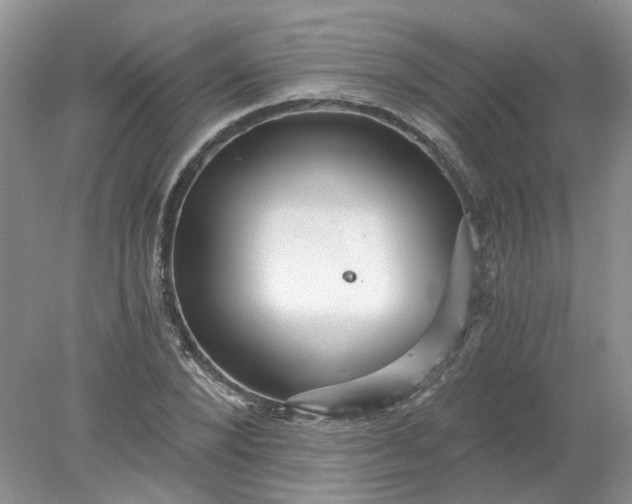 X0000078280880200611172054