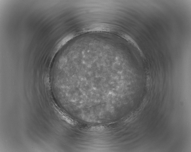 X0000078280882200611172054