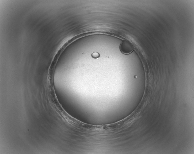 X0000078280883200611172053