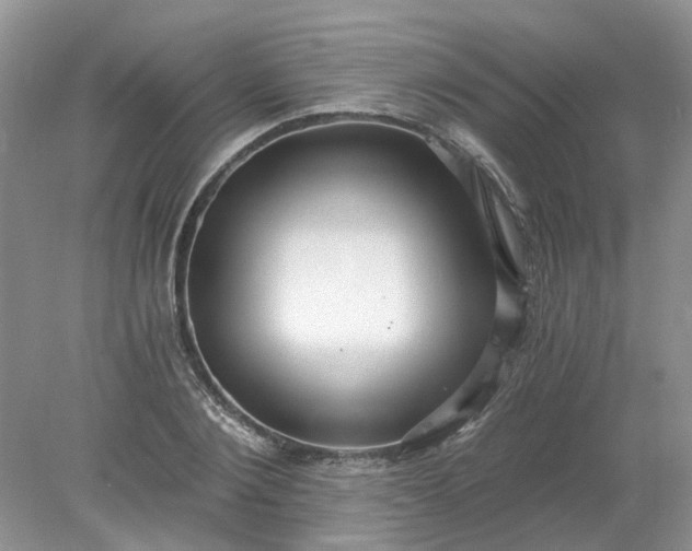 X0000078280884200611172053