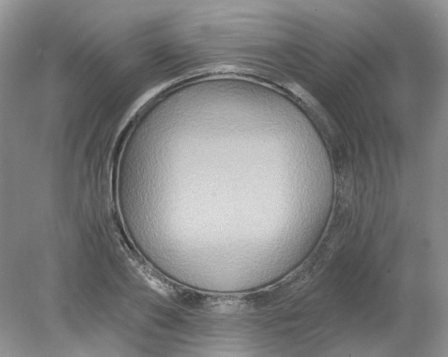 X0000078280886200611172053