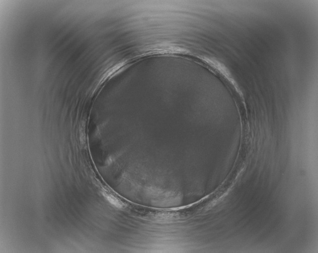 X0000078280889200611172053