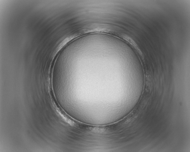 X0000078280890200611172053