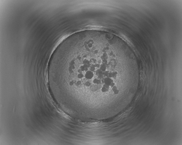 X0000078280891200611172053