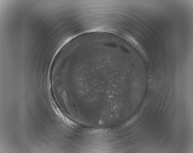 X0000078280892200611172053