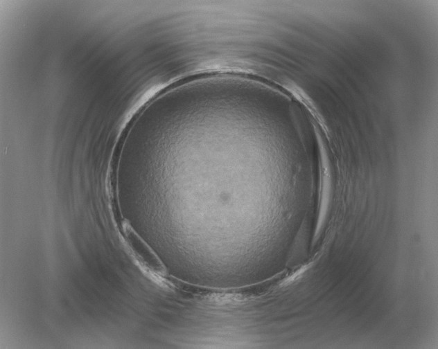 X0000078280893200611172053