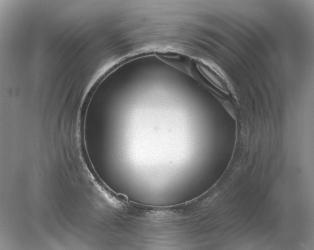 X0000078280894200611172053