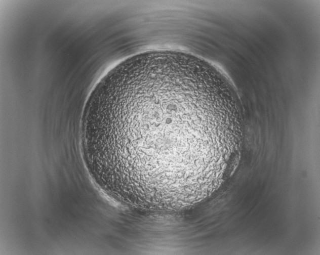 X0000078280895200611172053