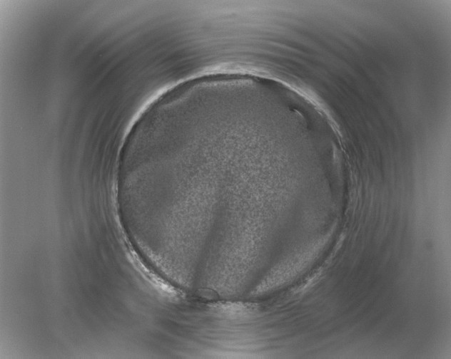 X0000078280896200611172053