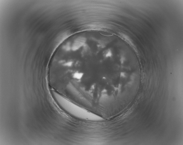 X0000078280899200611172053