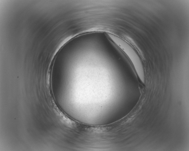 X0000078280900200611172053