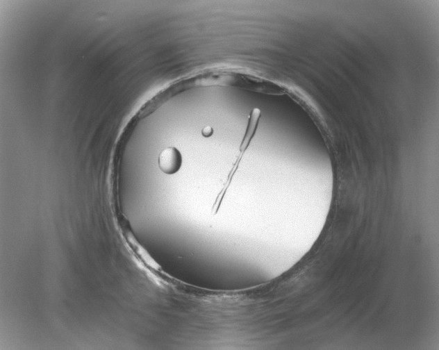 X0000078280902200611172053