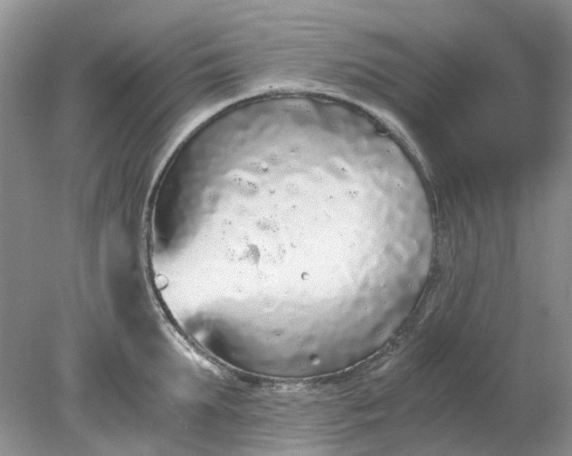 X0000078280903200611172053